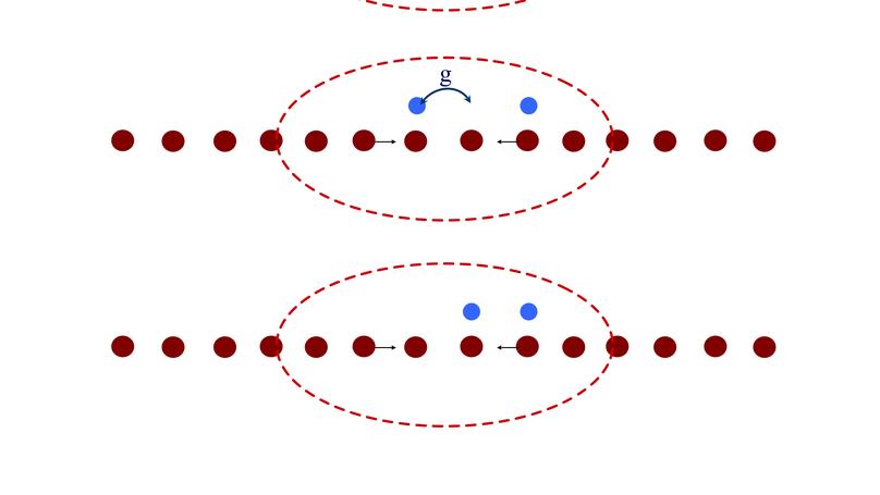 Light bipolarons stabilized by Peierls electron-phonon coupling